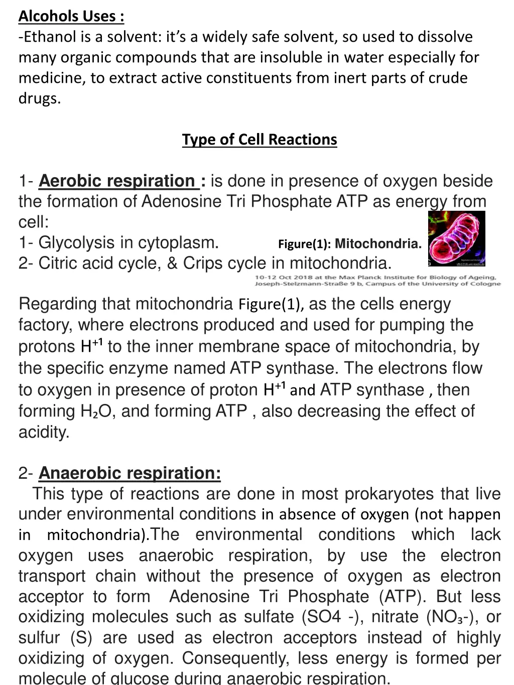 alcohols uses ethanol is a solvent it s a widely