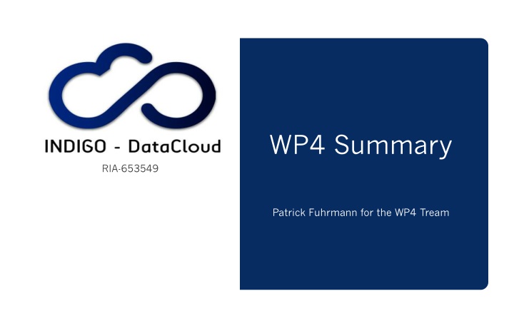 wp4 summary