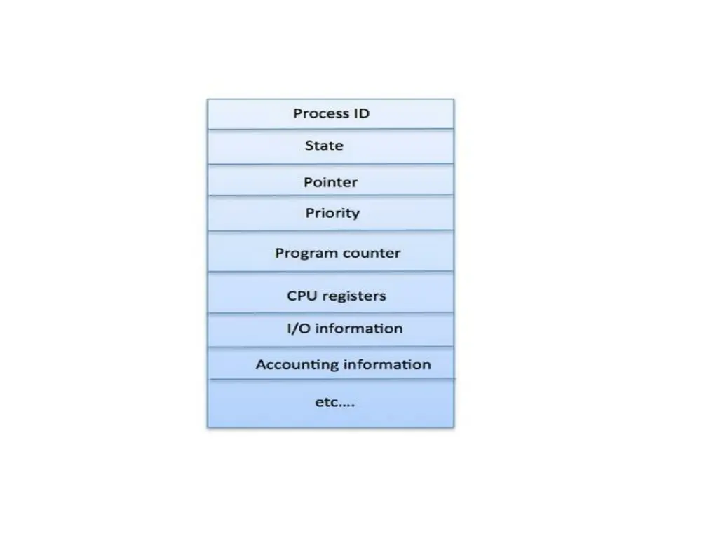 slide11