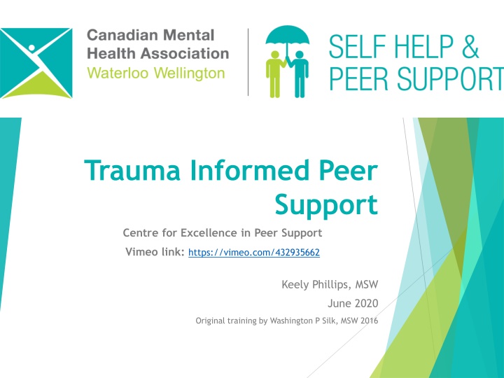 trauma informed peer
