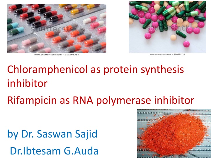 chloramphenicol as protein synthesis inhibitor