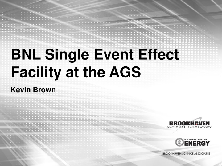bnl single event effect facility at the ags