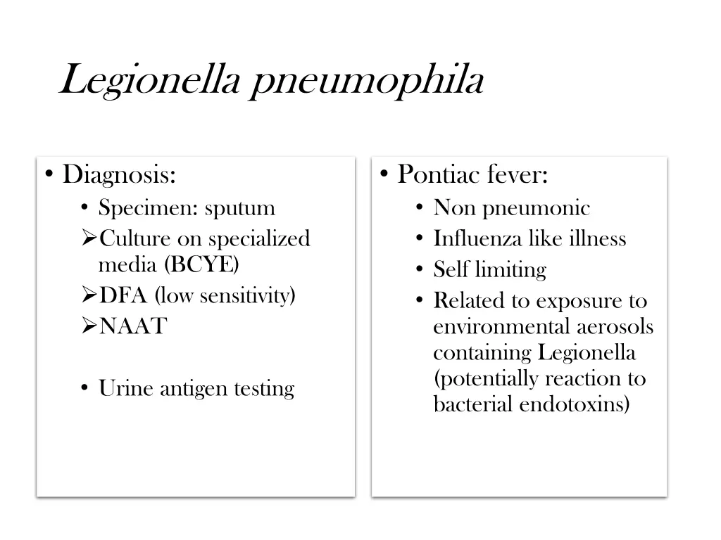 legionella pneumophila 1