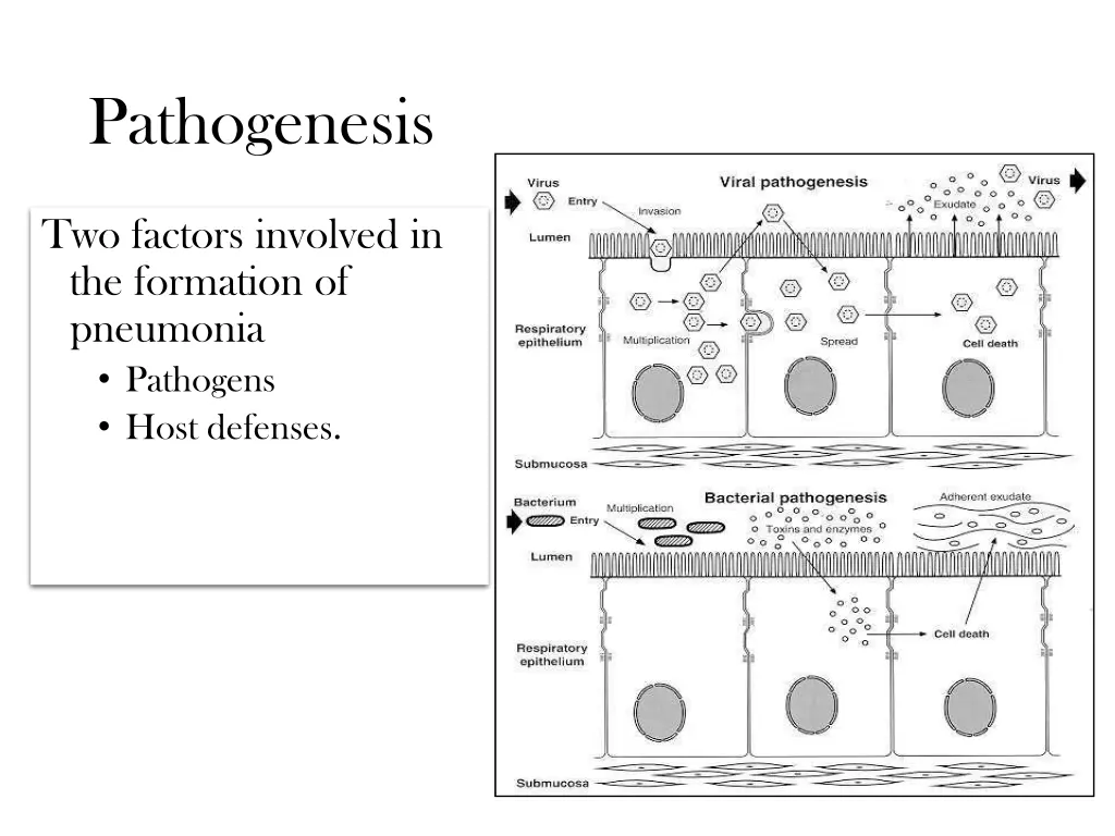 pathogenesis