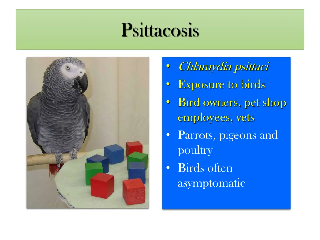 psittacosis