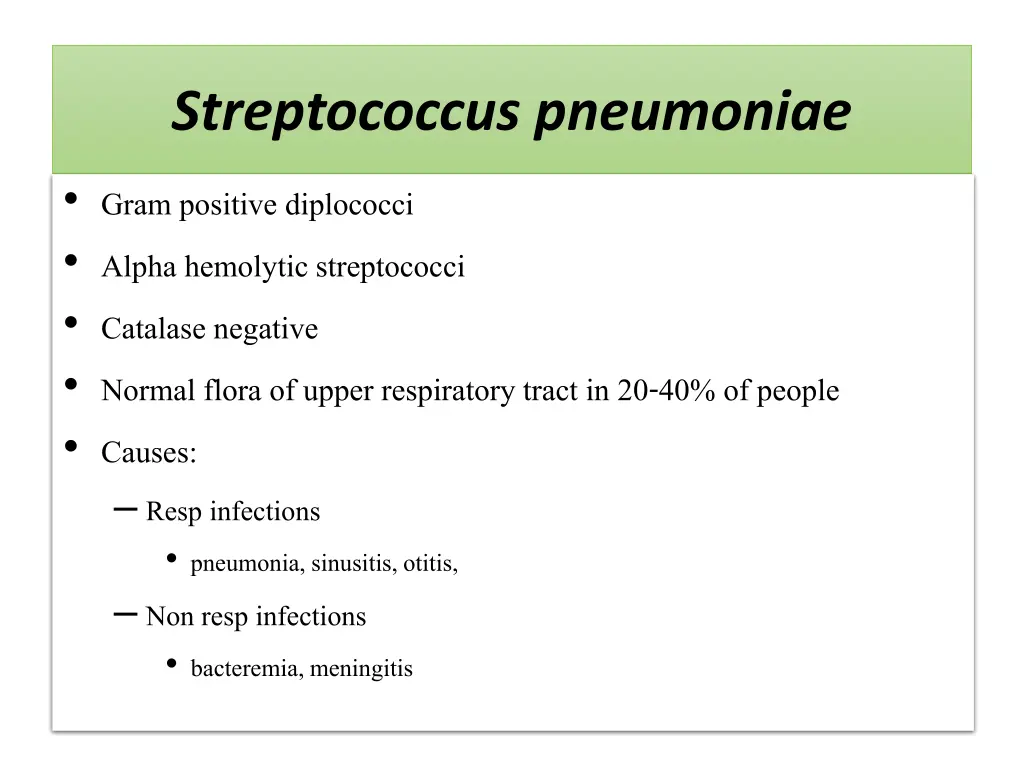 streptococcus pneumoniae
