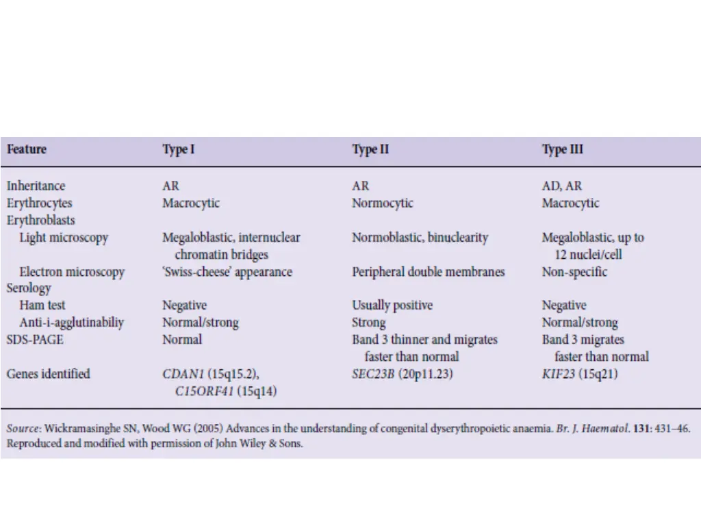 slide21