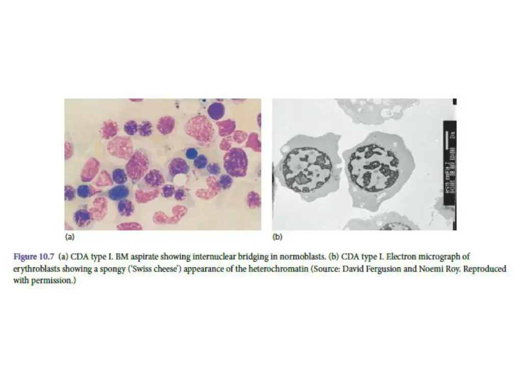 slide23