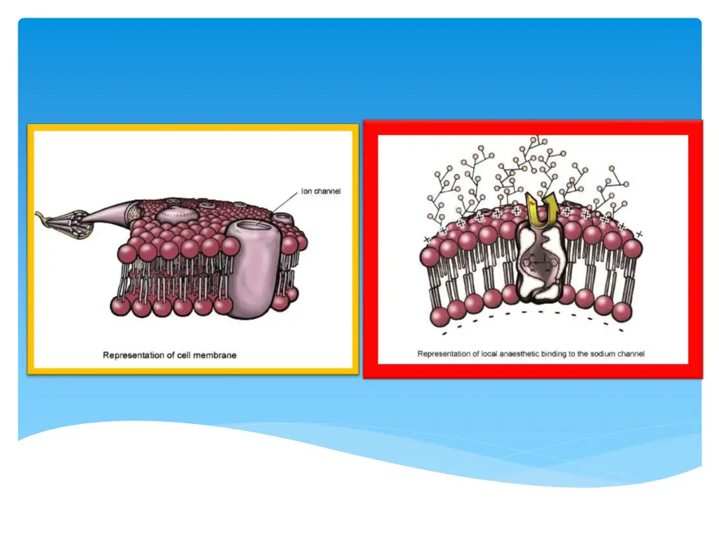 slide5