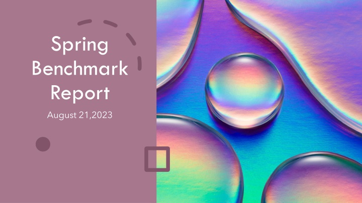 spring benchmark report