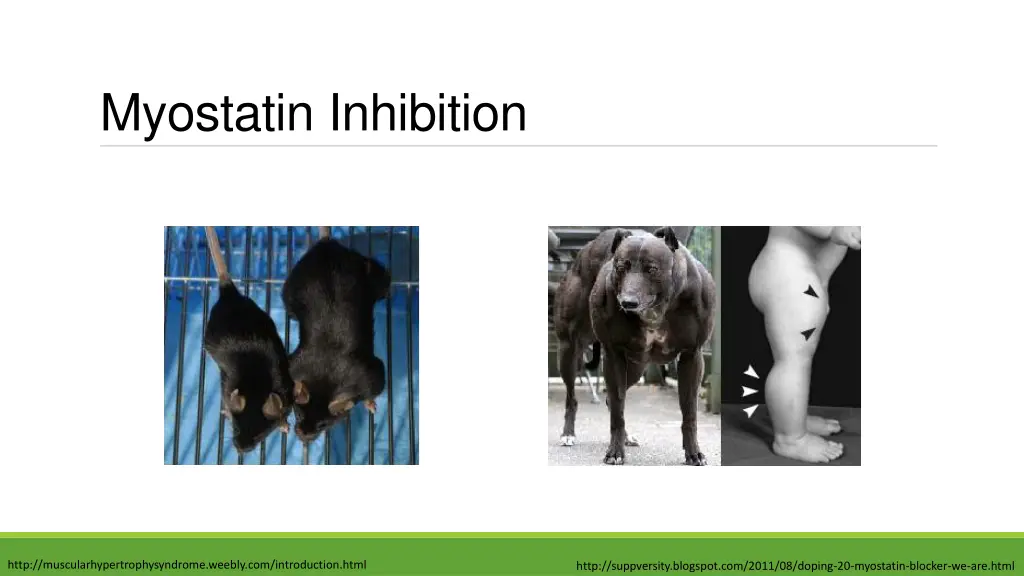 myostatin inhibition