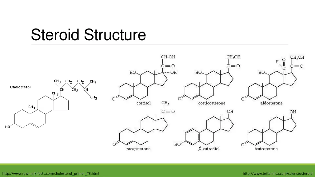 steroid structure
