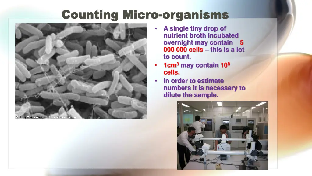 counting micro counting micro organisms