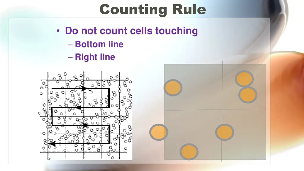 counting rule