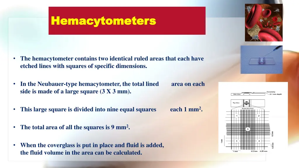 hemacytometers hemacytometers 2