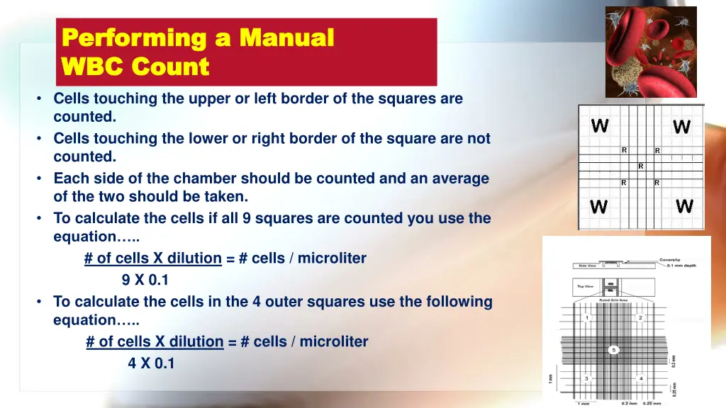 performing a manual performing a manual wbc count 1