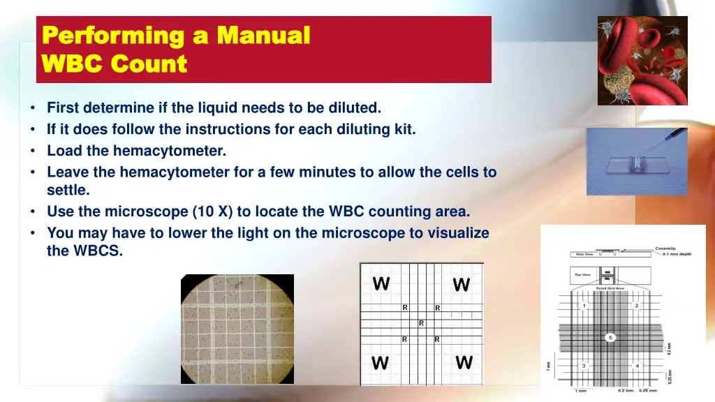 performing a manual performing a manual wbc count