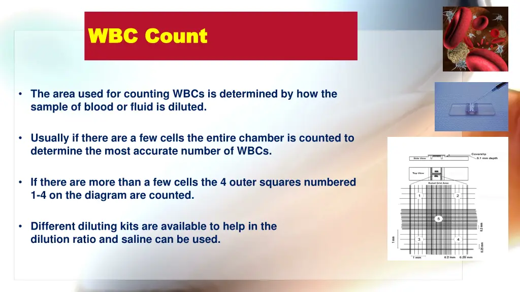 wbc count wbc count