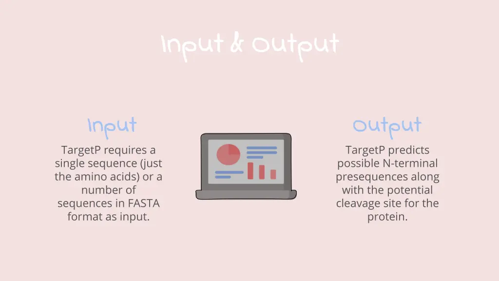 input output input output