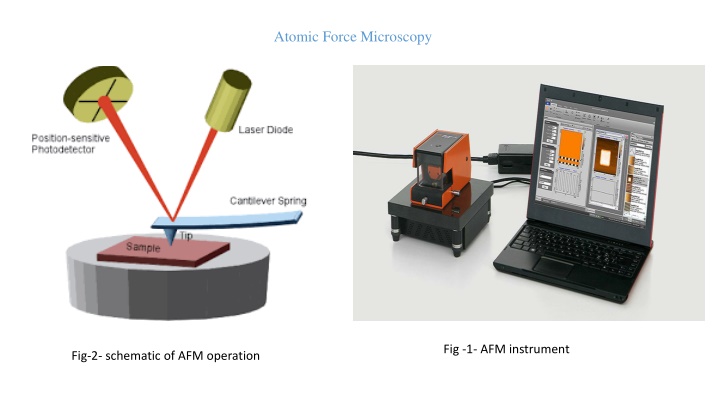 atomic force microscopy