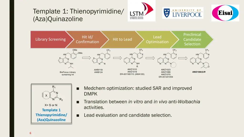 template 1 thienopyrimidine aza quinazoline