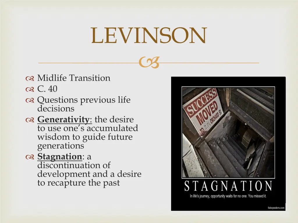 levinson 2