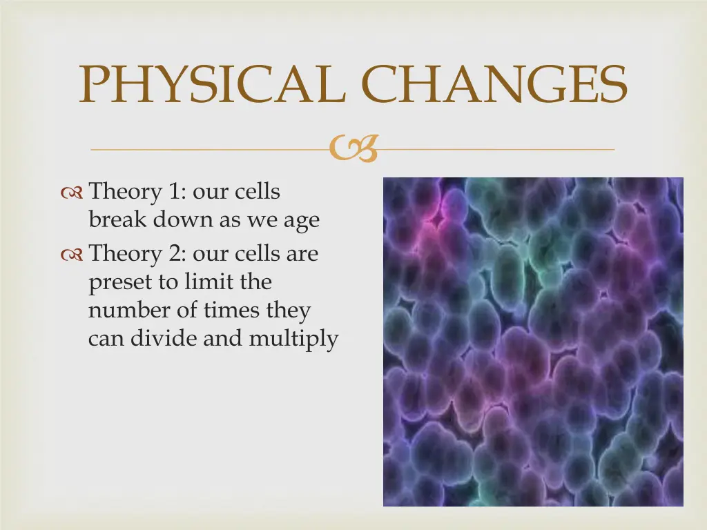 physical changes