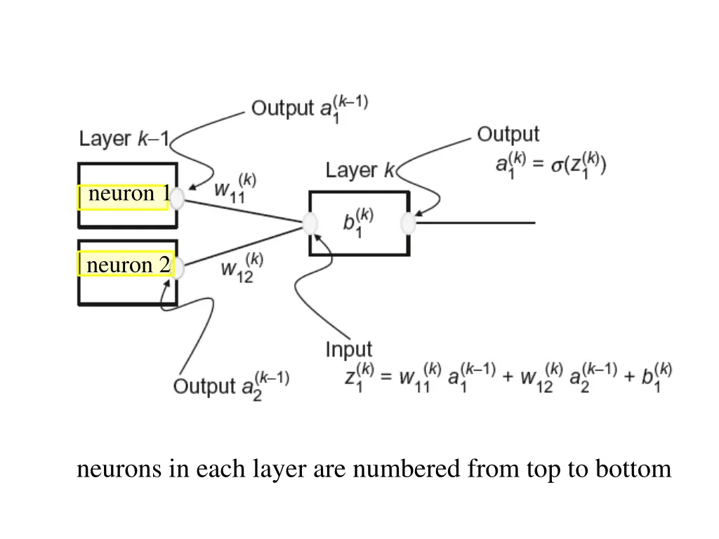 neuron 1