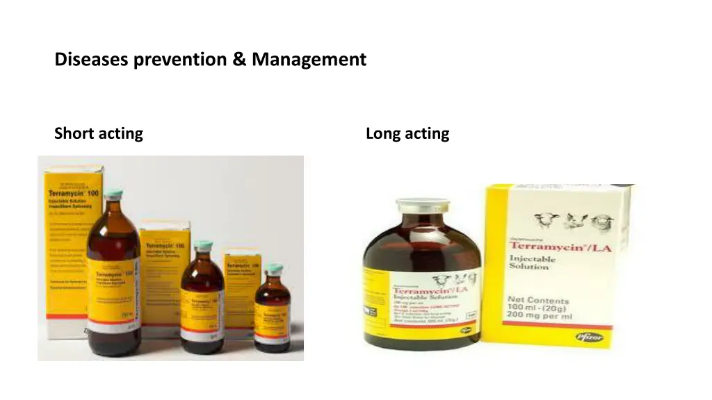 diseases prevention management