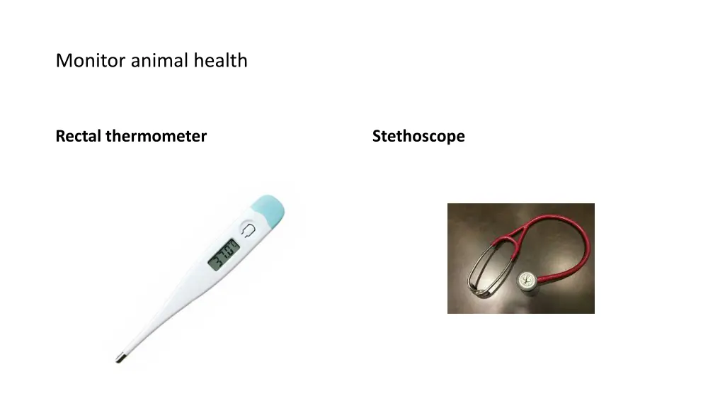 monitor animal health