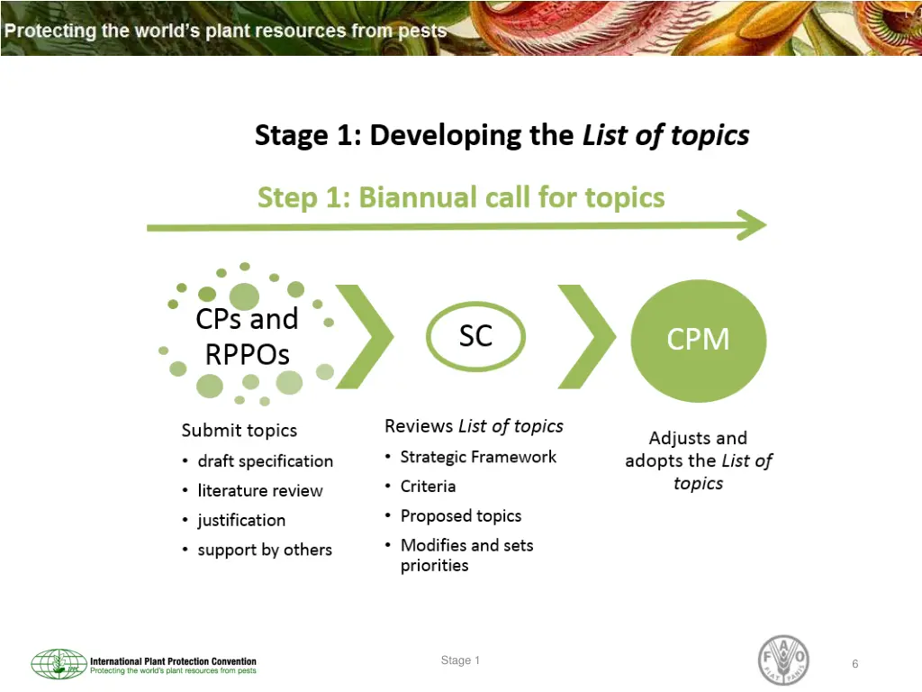 stage 1 1