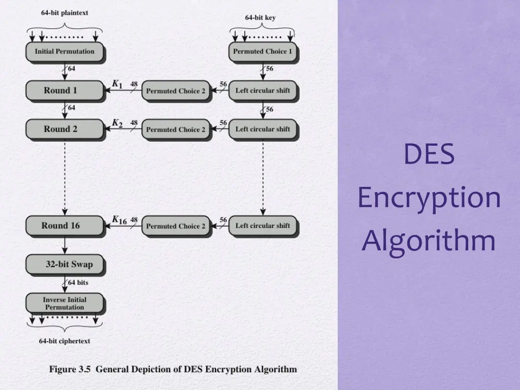 slide15