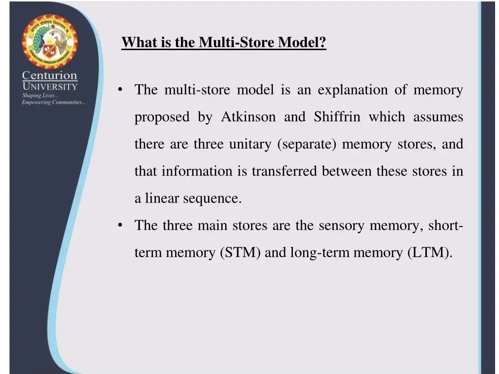 what is the multi store model