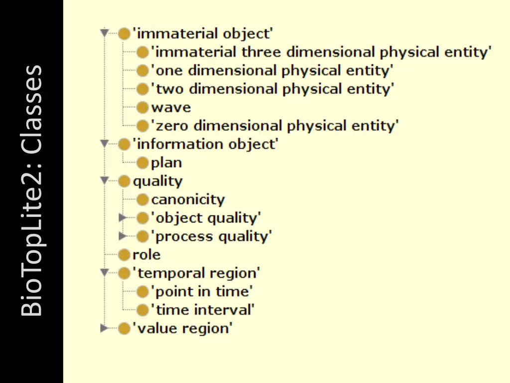 biotoplite2 classes 1