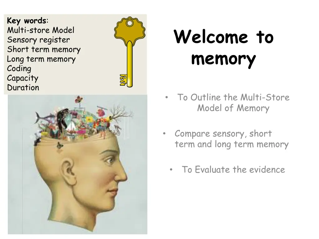 conformity welcome to memory lesson 1 to outline