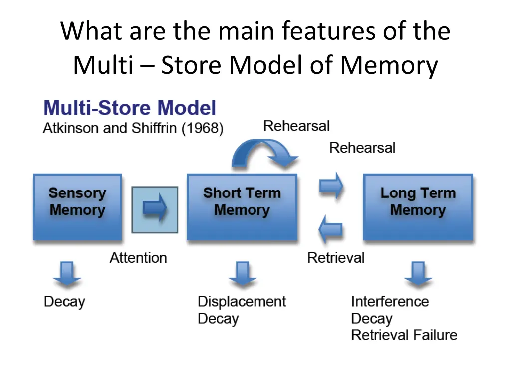 what are the main features of the multi store