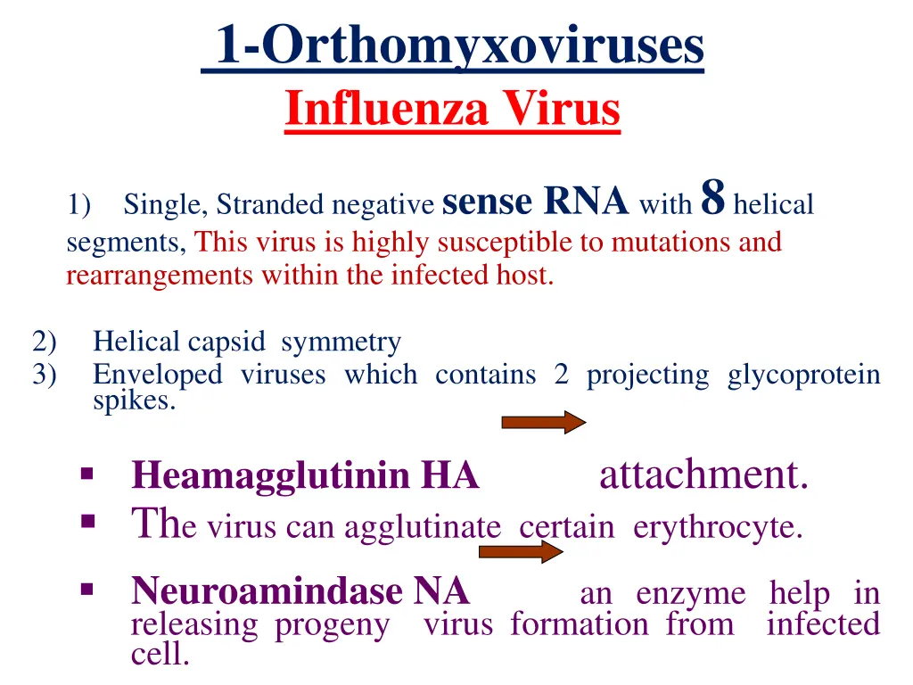 1 orthomyxoviruses influenza virus