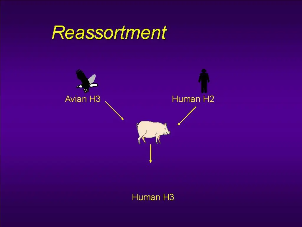 slide10