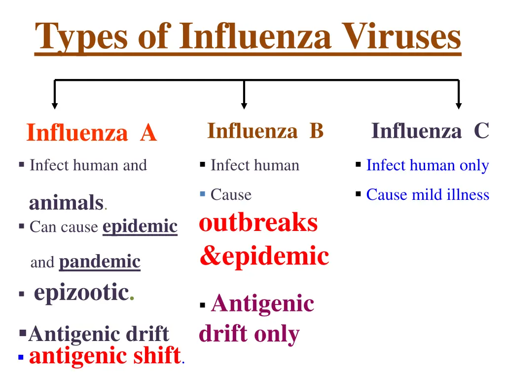 types of influenza viruses