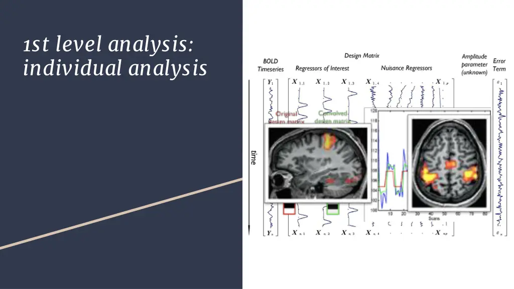 1st level analysis individual analysis