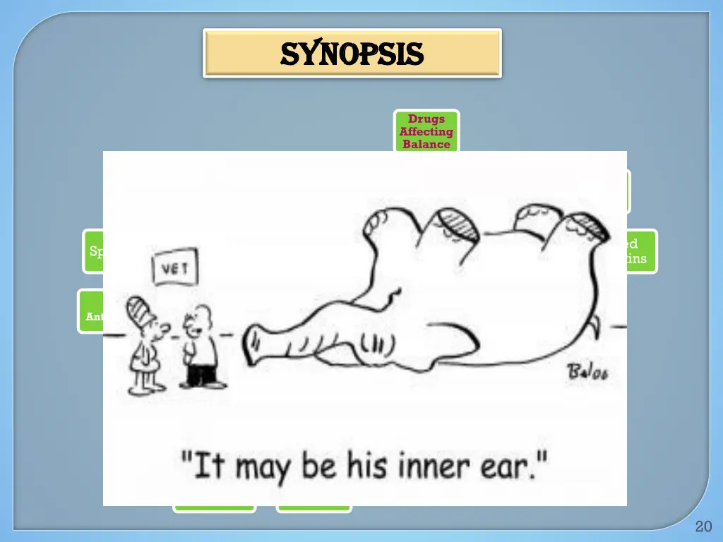 synopsis synopsis