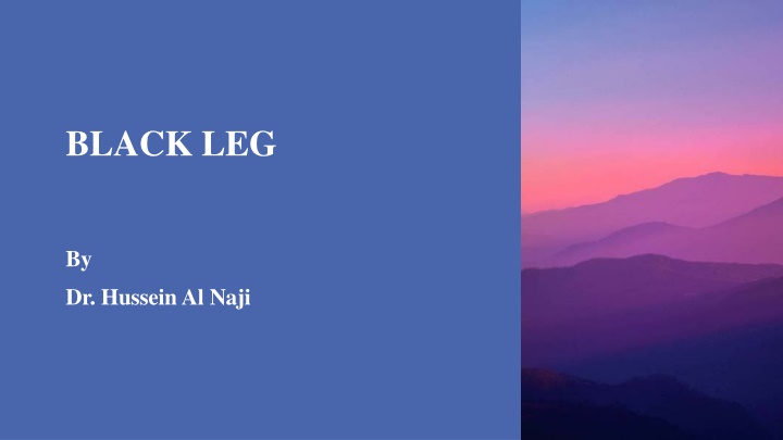 black leg