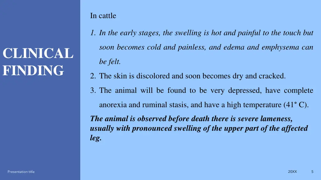 in cattle