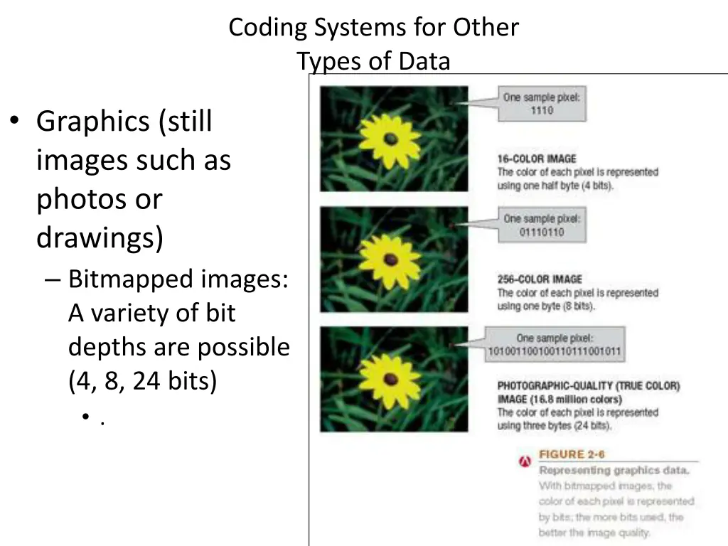 coding systems for other types of data