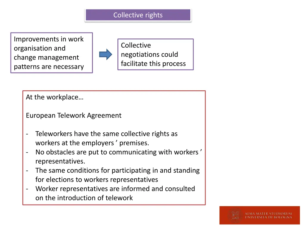collective rights