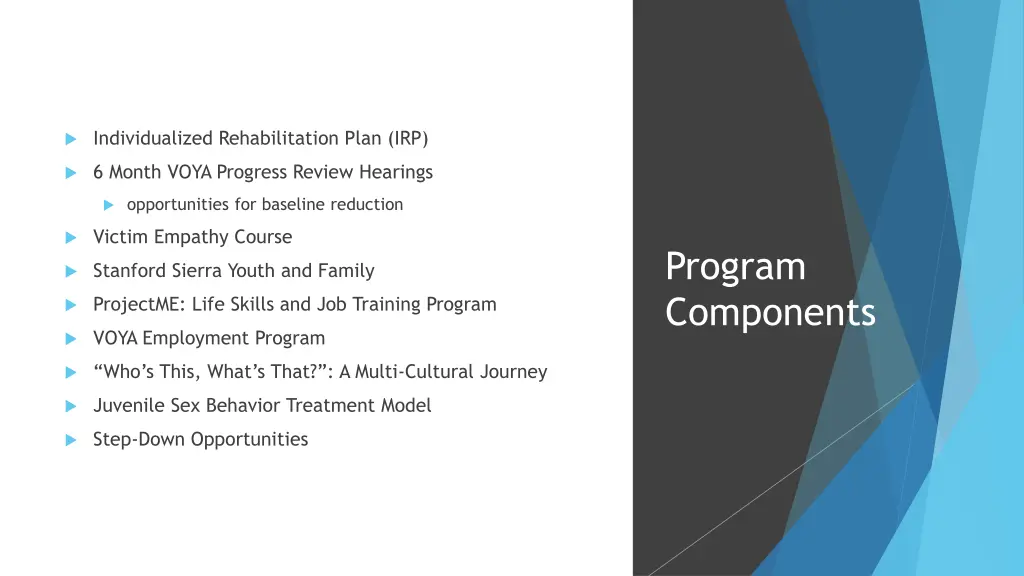 individualized rehabilitation plan irp