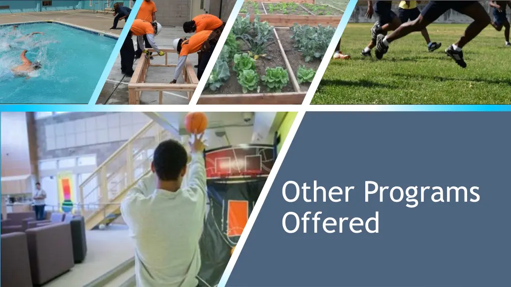 other programs offered