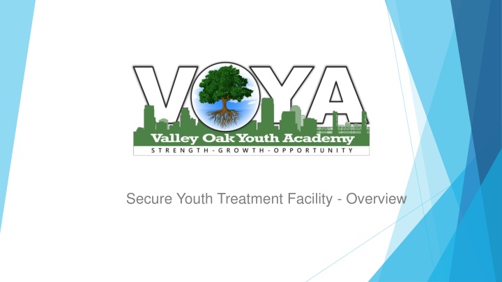 secure youth treatment facility overview
