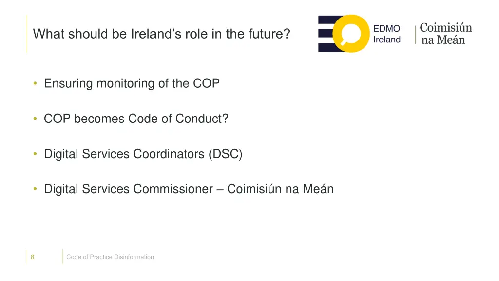 what should be ireland s role in the future