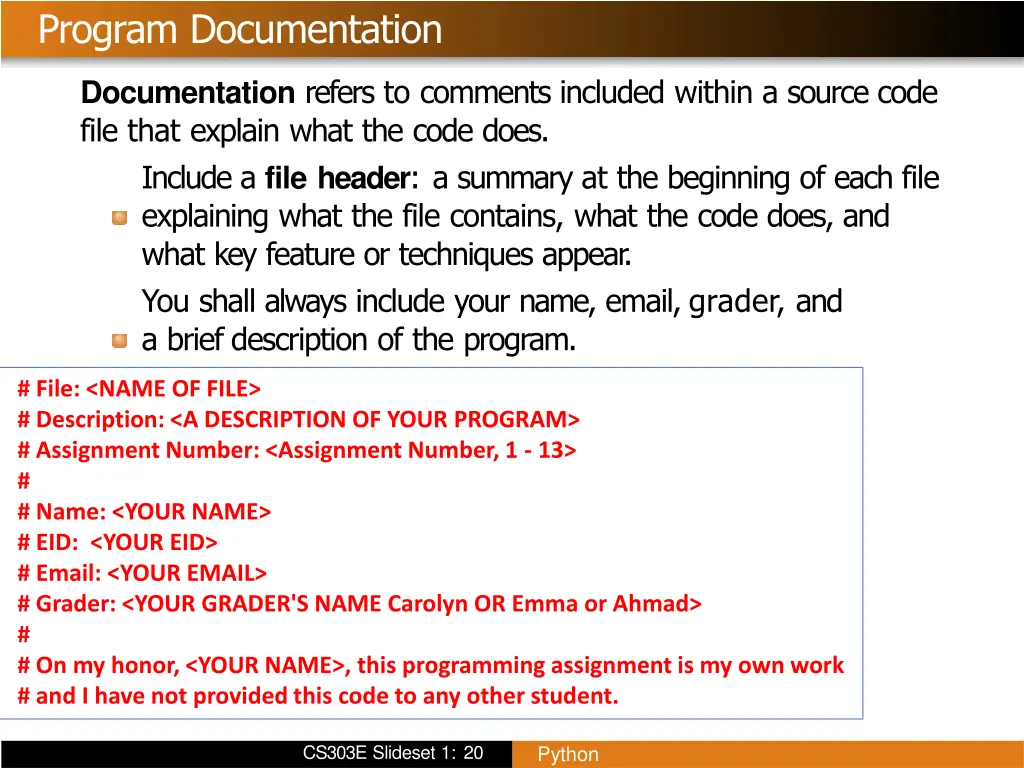 program documentation